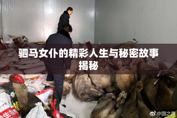 驷马女仆的精彩人生与秘密故事揭秘