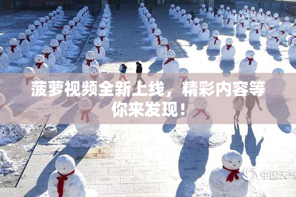 菠萝视频全新上线，精彩内容等你来发现！