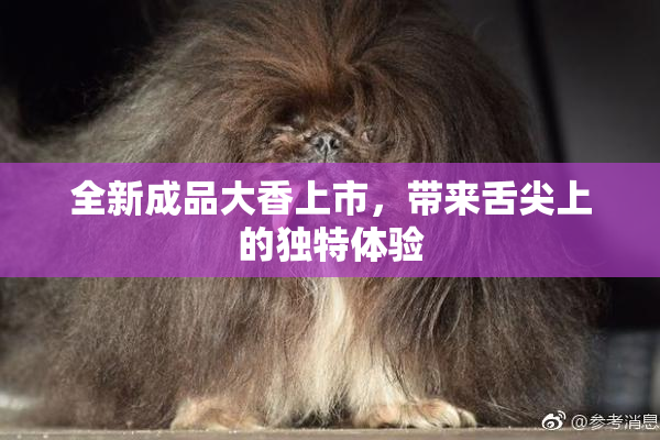 全新成品大香上市，带来舌尖上的独特体验