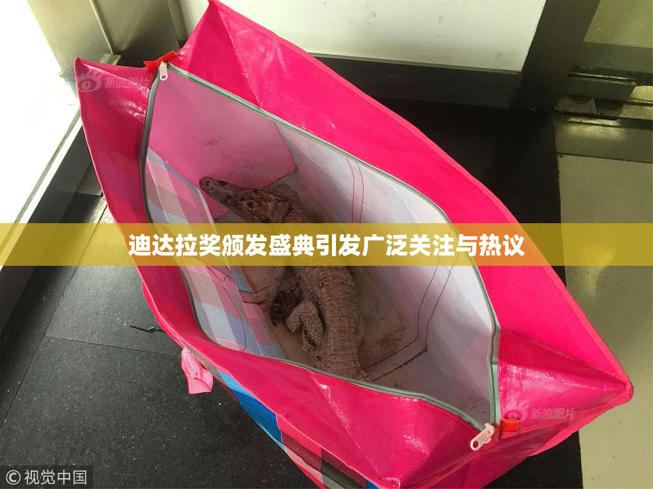 迪达拉奖颁发盛典引发广泛关注与热议