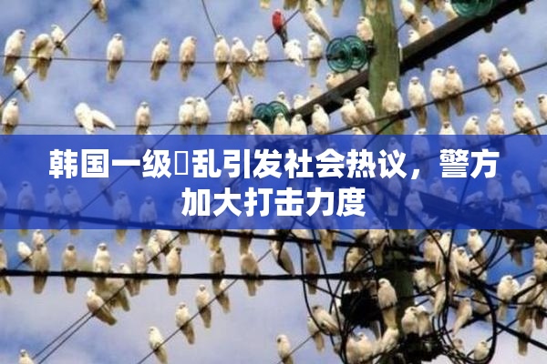 韩国一级婬乱引发社会热议，警方加大打击力度