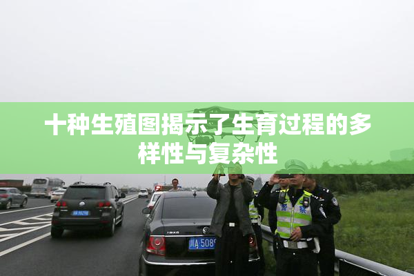 十种生殖图揭示了生育过程的多样性与复杂性