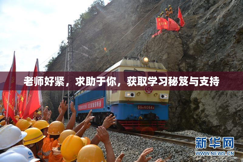 老师好紧，求助于你，获取学习秘笈与支持