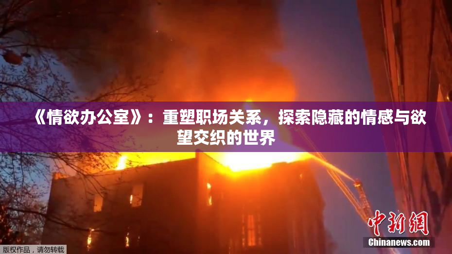 《情欲办公室》：重塑职场关系，探索隐藏的情感与欲望交织的世界