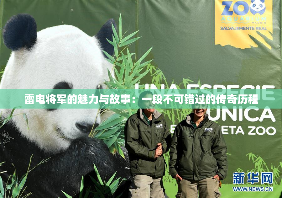 雷电将军的魅力与故事：一段不可错过的传奇历程