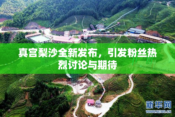真宫梨沙全新发布，引发粉丝热烈讨论与期待