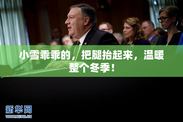 小雪乖乖的，把腿抬起来，温暖整个冬季！