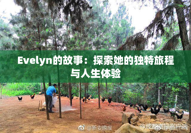 Evelyn的故事：探索她的独特旅程与人生体验