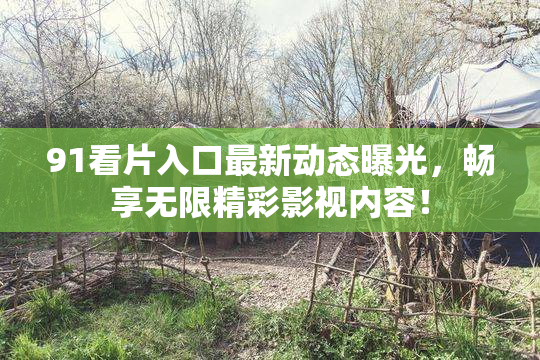 91看片入口最新动态曝光，畅享无限精彩影视内容！