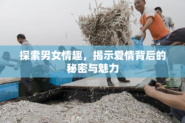 探索男女情趣，揭示爱情背后的秘密与魅力