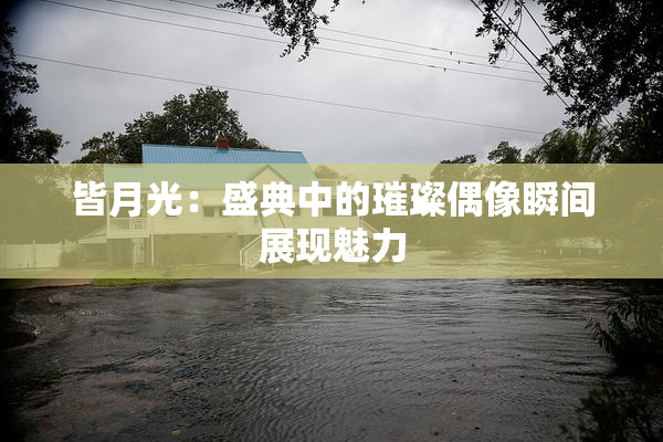 皆月光：盛典中的璀璨偶像瞬间展现魅力