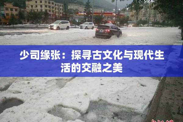 少司缘张：探寻古文化与现代生活的交融之美
