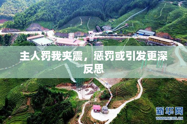 主人罚我夹震，惩罚或引发更深反思