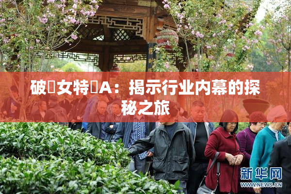 破處女特級A：揭示行业内幕的探秘之旅