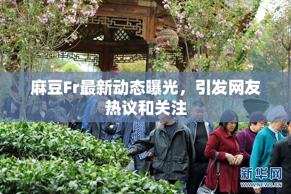 麻豆Fr最新动态曝光，引发网友热议和关注