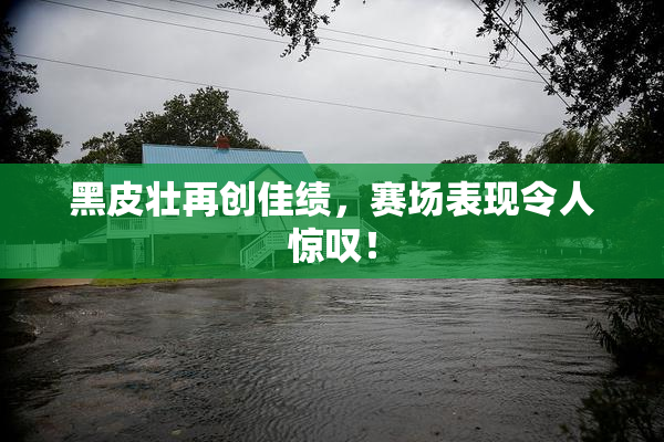 黑皮壮再创佳绩，赛场表现令人惊叹！