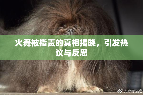 火舞被指责的真相揭晓，引发热议与反思