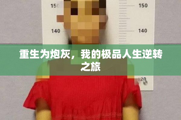 重生为炮灰，我的极品人生逆转之旅