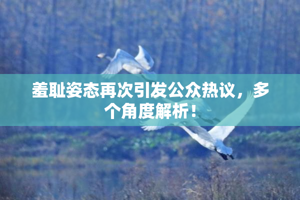 羞耻姿态再次引发公众热议，多个角度解析！