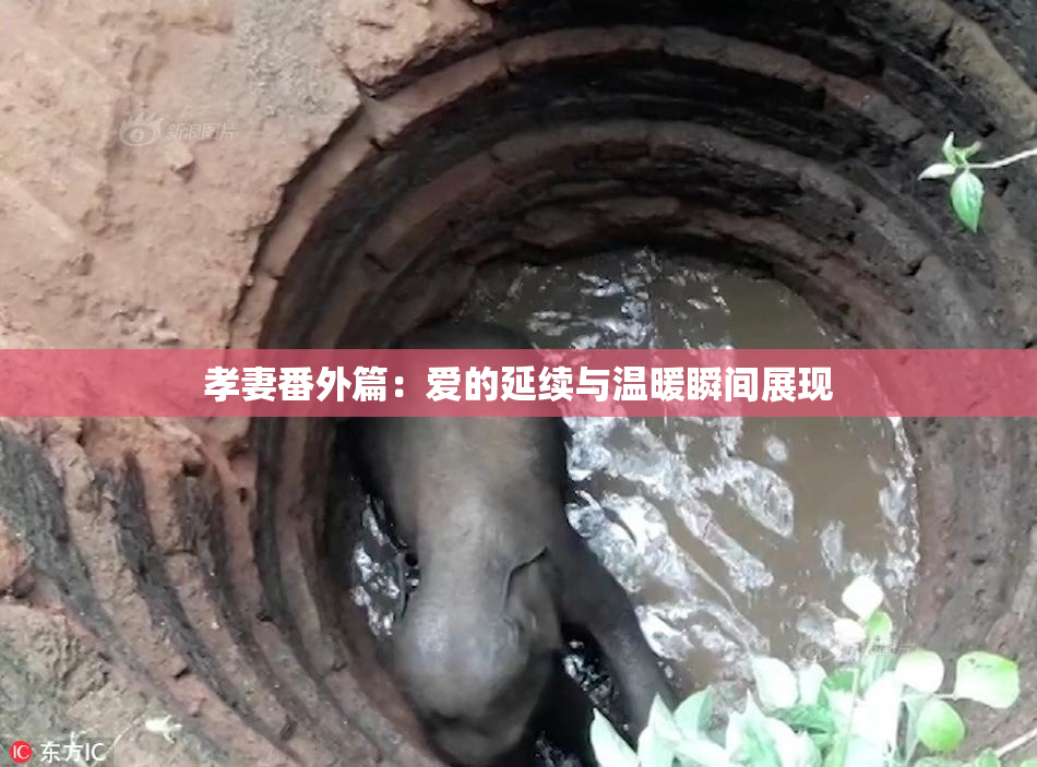 孝妻番外篇：爱的延续与温暖瞬间展现