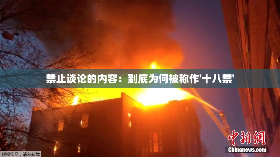 禁止谈论的内容：到底为何被称作'十八禁'