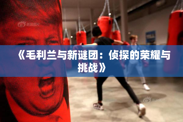 《毛利兰与新谜团：侦探的荣耀与挑战》