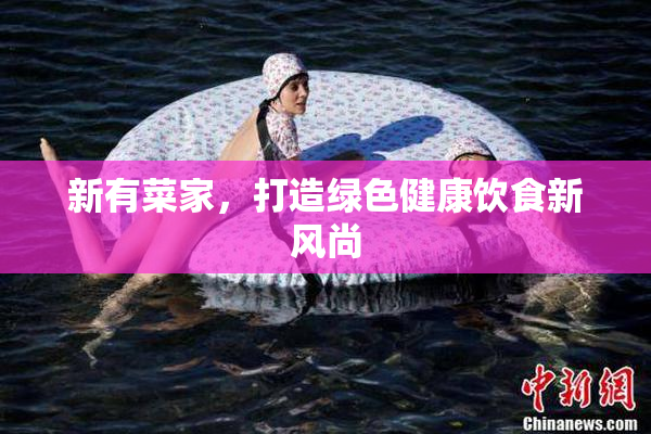 新有菜家，打造绿色健康饮食新风尚