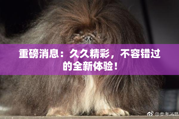 重磅消息：久久精彩，不容错过的全新体验！