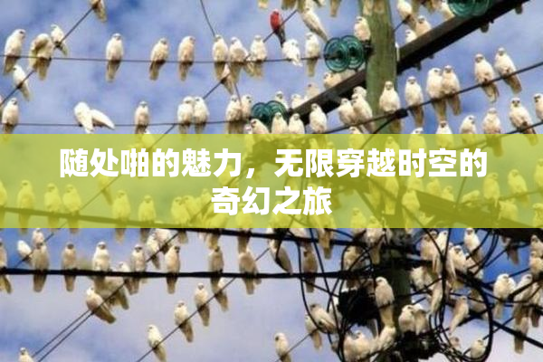 随处啪的魅力，无限穿越时空的奇幻之旅