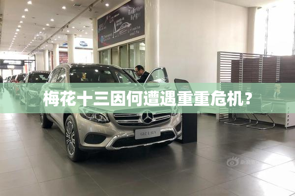 梅花十三因何遭遇重重危机？