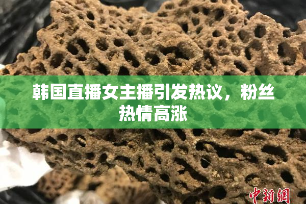 韩国直播女主播引发热议，粉丝热情高涨