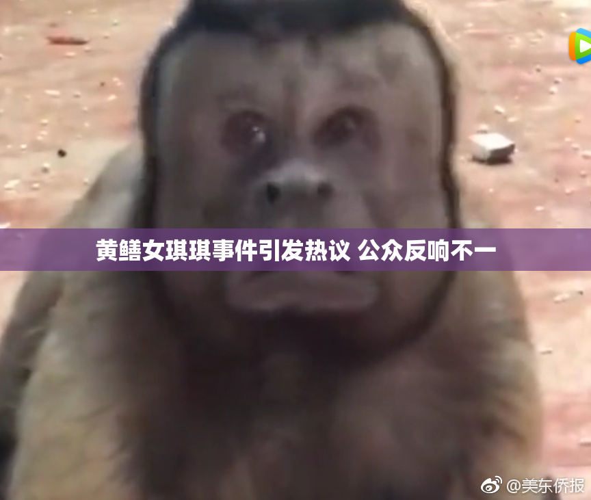 黄鳝女琪琪事件引发热议 公众反响不一
