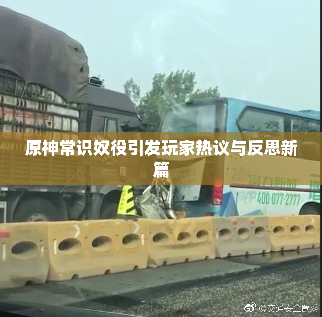 原神常识奴役引发玩家热议与反思新篇
