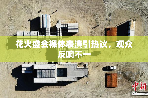 花火盛会裸体表演引热议，观众反响不一