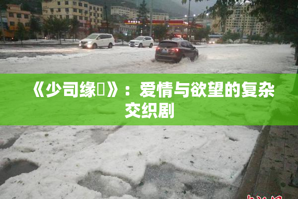 《少司缘婬》：爱情与欲望的复杂交织剧