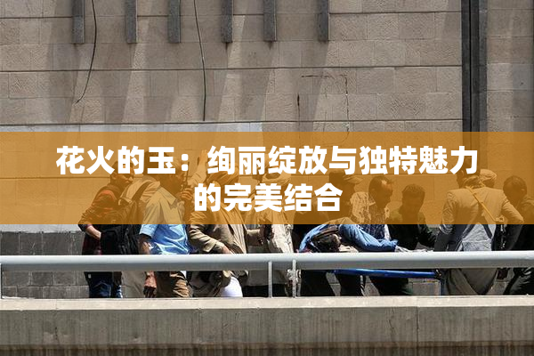 花火的玉：绚丽绽放与独特魅力的完美结合