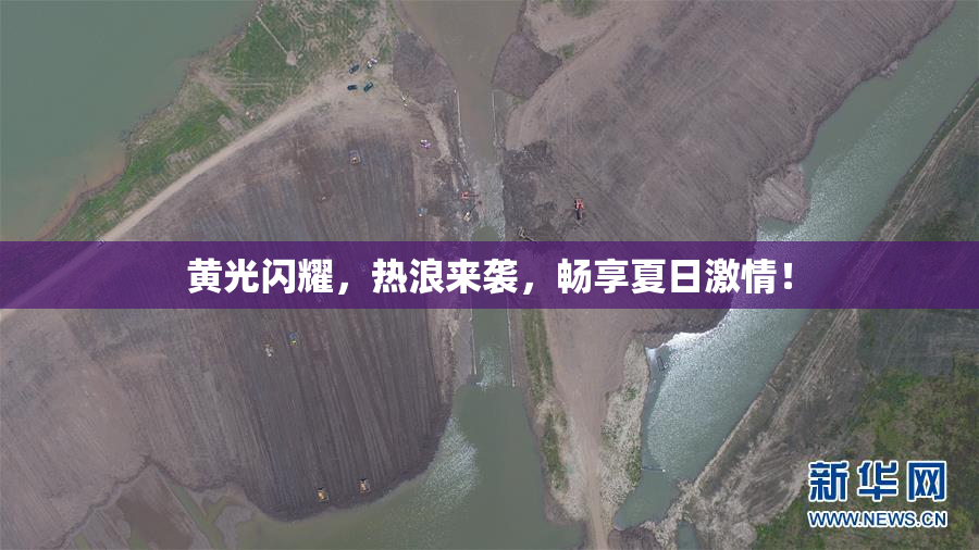 黄光闪耀，热浪来袭，畅享夏日激情！