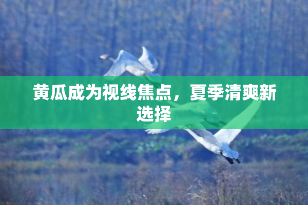 黄瓜成为视线焦点，夏季清爽新选择