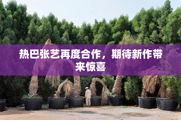 热巴张艺再度合作，期待新作带来惊喜