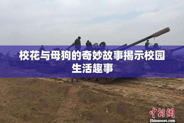 校花与母狗的奇妙故事揭示校园生活趣事