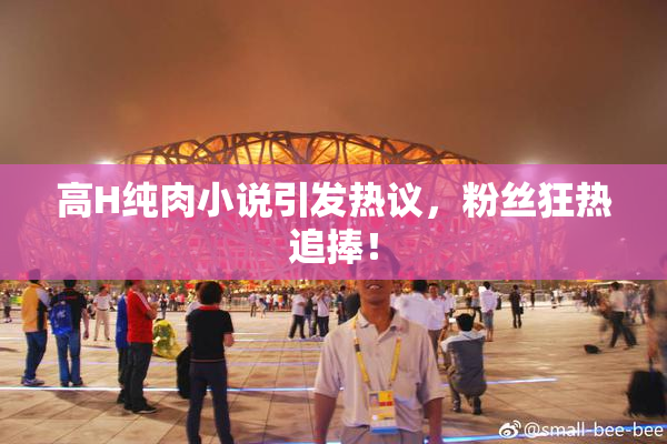 高H纯肉小说引发热议，粉丝狂热追捧！