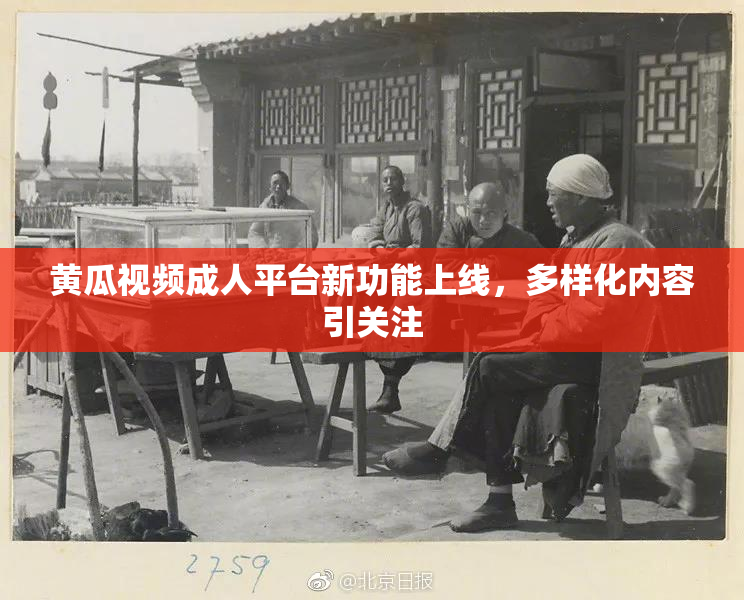 黄瓜视频成人平台新功能上线，多样化内容引关注