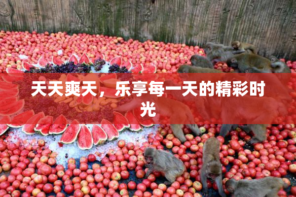 天天爽天，乐享每一天的精彩时光
