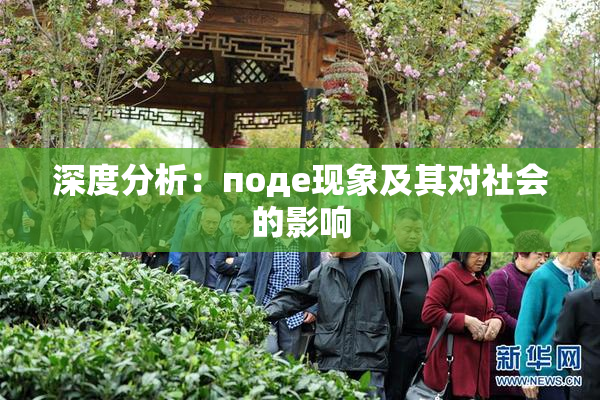 深度分析：поде现象及其对社会的影响
