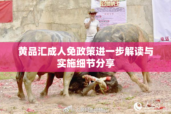 黄品汇成人免政策进一步解读与实施细节分享