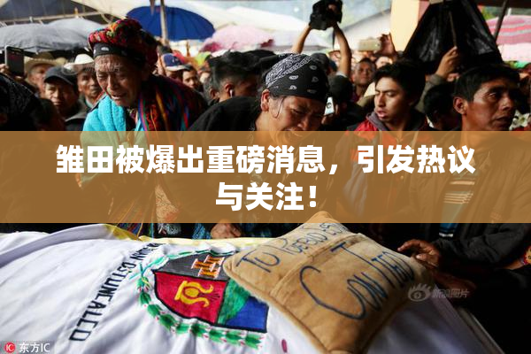 雏田被爆出重磅消息，引发热议与关注！