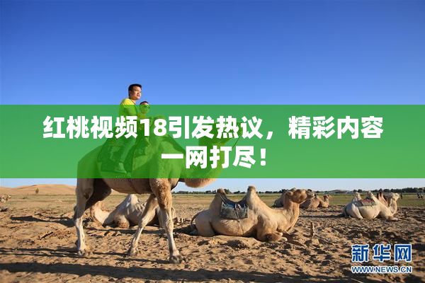 红桃视频18引发热议，精彩内容一网打尽！