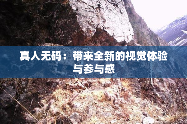 真人无码：带来全新的视觉体验与参与感