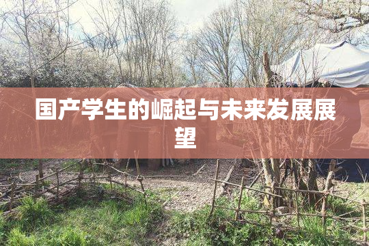 国产学生的崛起与未来发展展望