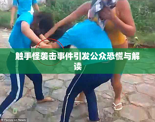 触手怪袭击事件引发公众恐慌与解读